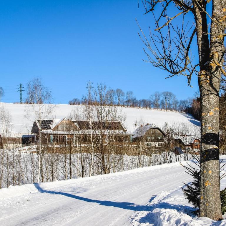 Haunzwickl Ferienhaus - Apartment mit 2 Schlafzimmern und Balkon - 21