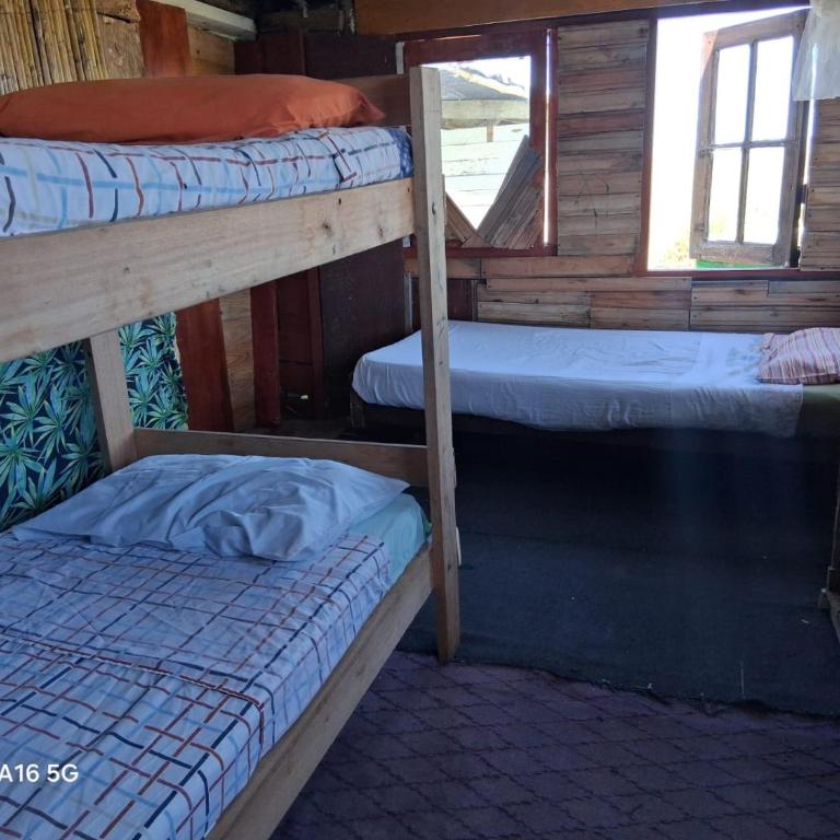 Pototo house - Mixed Dormitory Room - 1