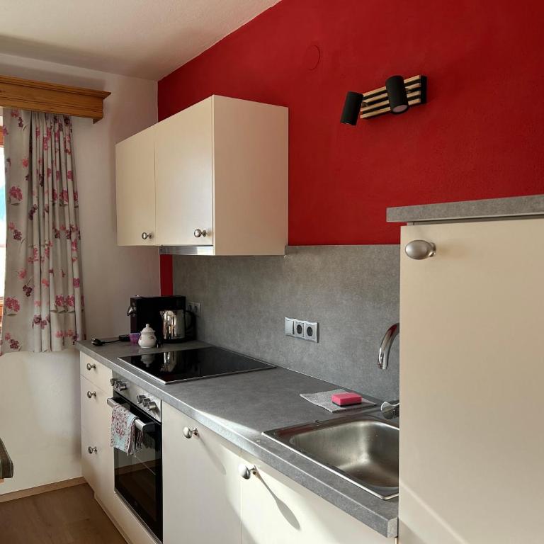 Gemütliche Wohnung mit voll ausgestatteter Küche - Apartment mit 1 Schlafzimmer - 1