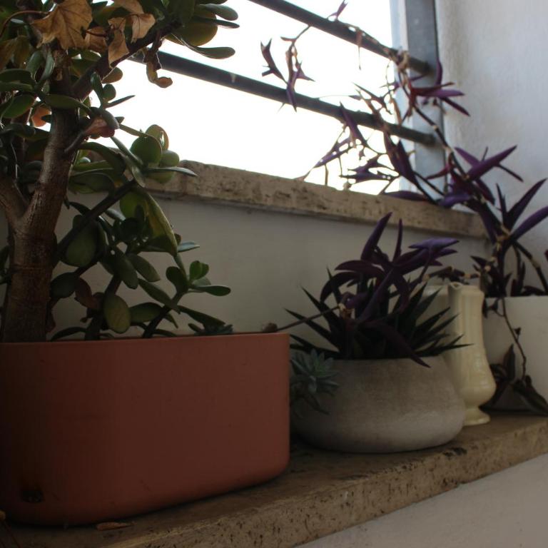 Loft Roma Tre - One-Bedroom Apartment - 20
