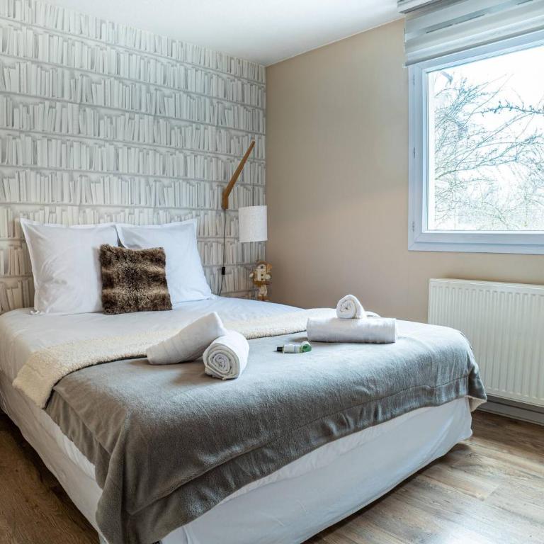 Le chant du Thiou : Au calme et au centre d'Annecy - Apartamento de 1 dormitorio - 12