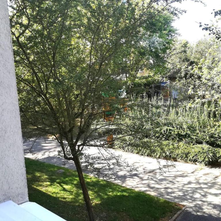 Le chant du Thiou : Au calme et au centre d'Annecy - Apartamento de 1 dormitorio - 24