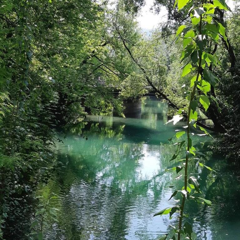 Le chant du Thiou : Au calme et au centre d'Annecy - Apartamento de 1 dormitorio - 34