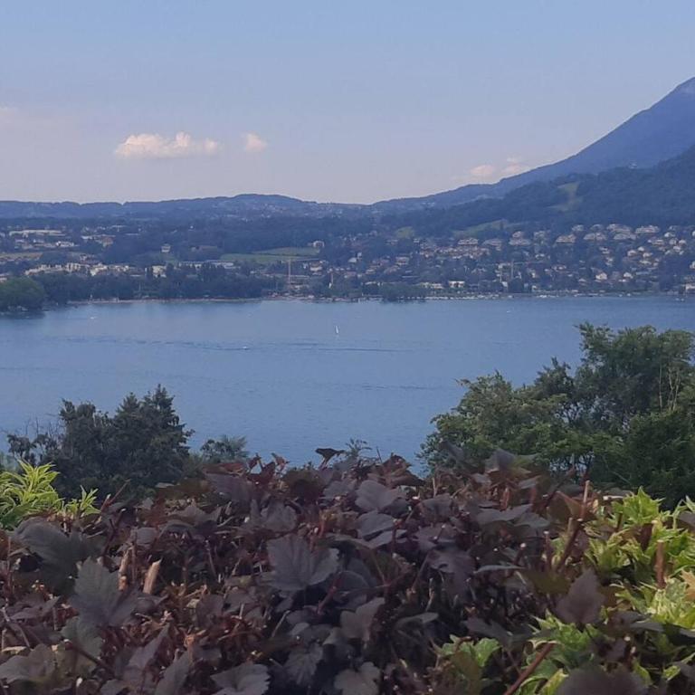 Le chant du Thiou : Au calme et au centre d'Annecy - Apartamento de 1 dormitorio - 44