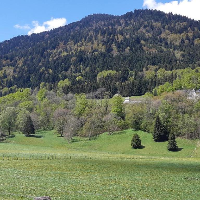 Le chant du Thiou : Au calme et au centre d'Annecy - Apartamento de 1 dormitorio - 47