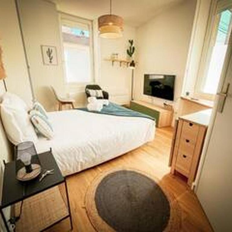 Le cosy studio - Studio Standard - 13