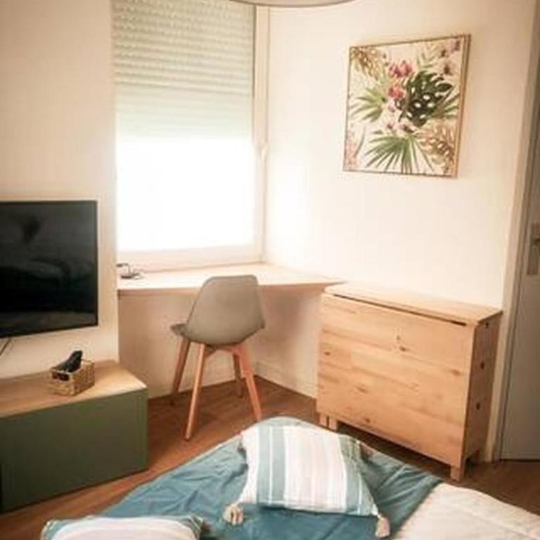 Le cosy studio - Studio Standard - 18