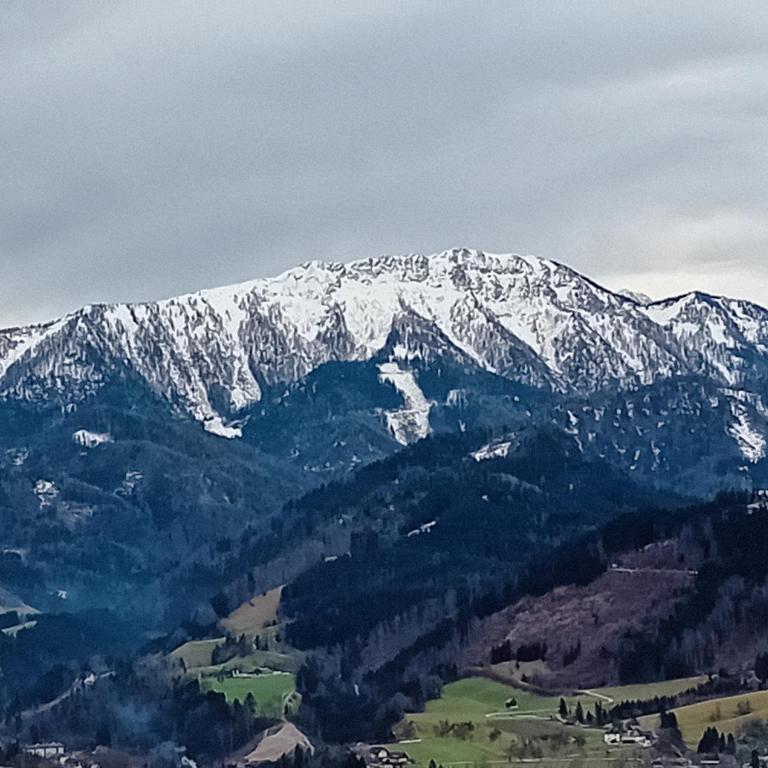 Ferienwohnung Heite in Altenmarkt bei St Gallen PLZ 8934 - Apartment mit 1 Schlafzimmer - 10