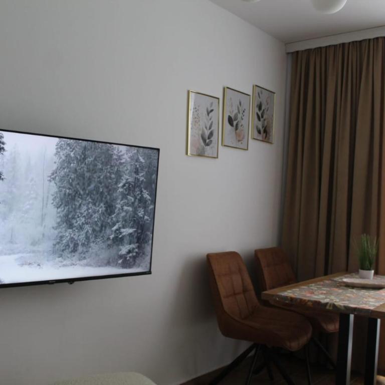 Winter Tale - One-Bedroom Apartment - 9