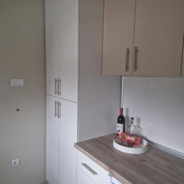 stan na dan sokobanja - Apartman sa 1 Spavaćom Sobom - 6