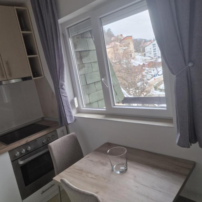 stan na dan sokobanja - Apartman sa 1 Spavaćom Sobom - 8