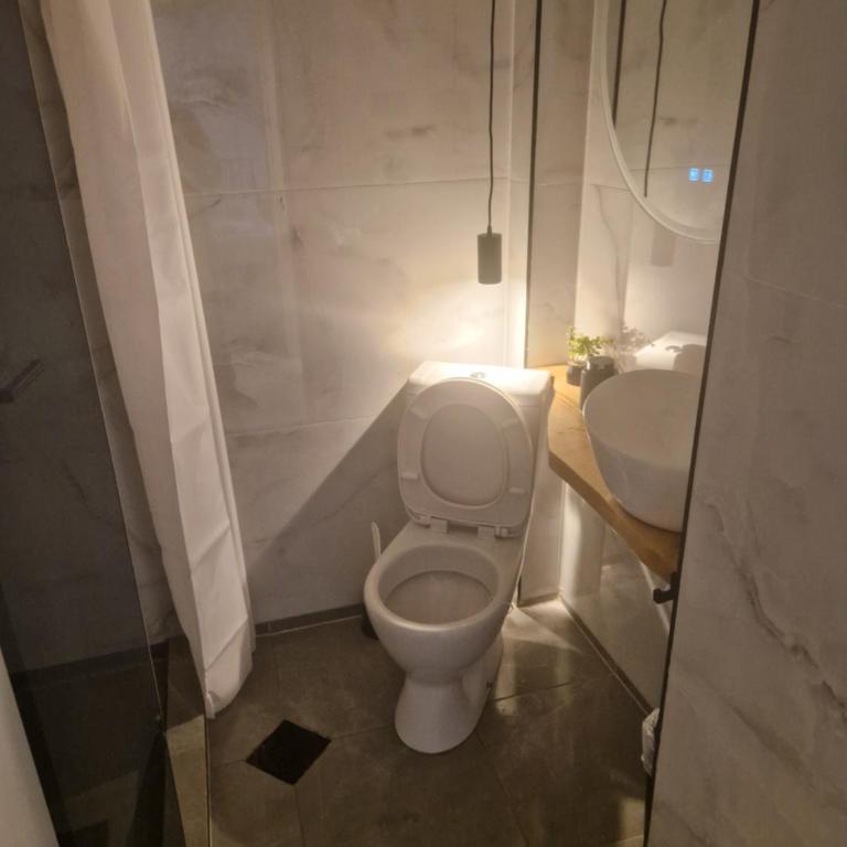 stan na dan sokobanja - Apartman sa 1 Spavaćom Sobom - 9