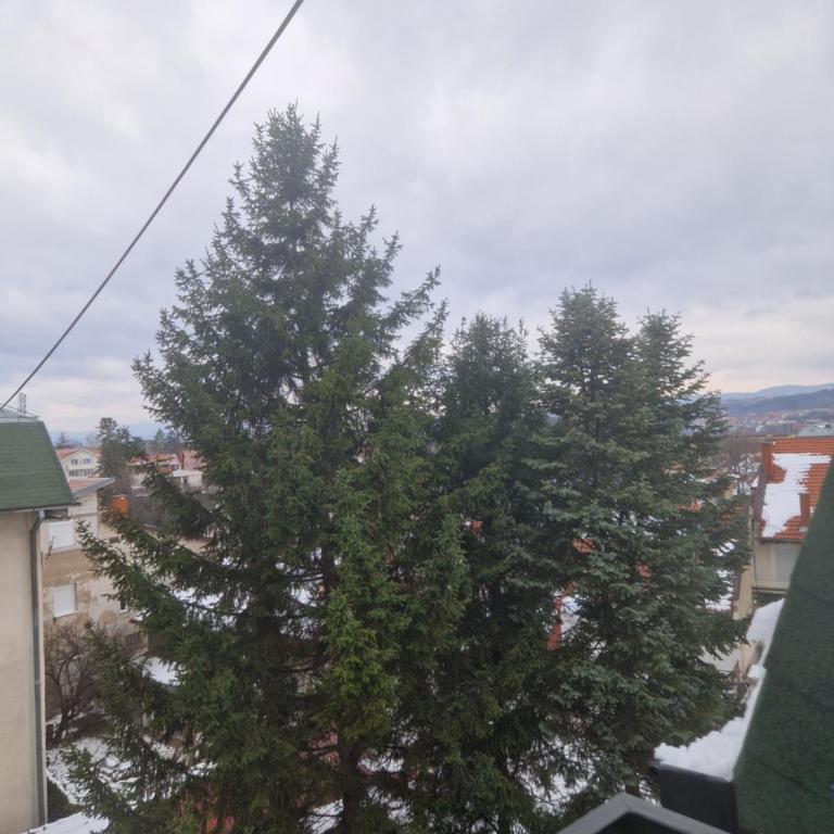 stan na dan sokobanja - Apartman sa 1 Spavaćom Sobom - 14