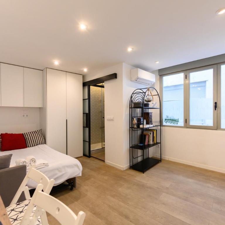 TES314E Acogedor Estudio en Centro de Madrid - Alquiler temporal - One-Bedroom Apartment - 13
