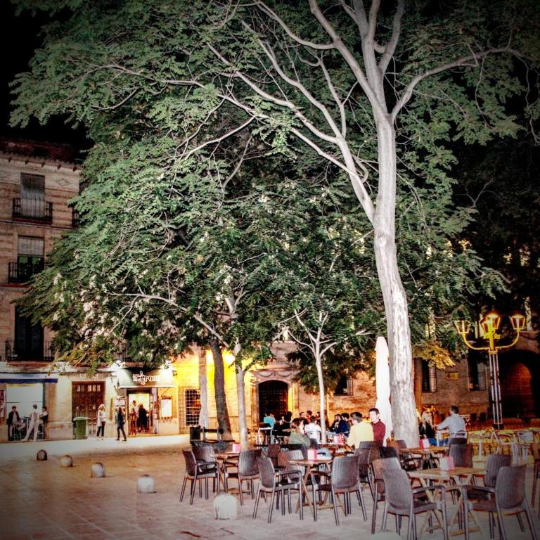 18 Torres - Apartamento Estudio - 29
