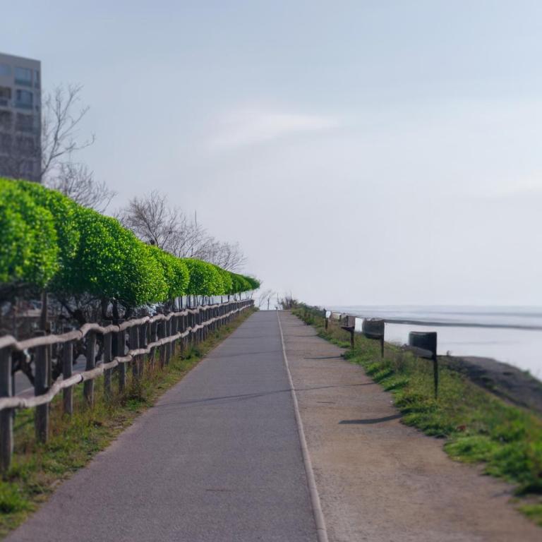 WELCS ESTUDIO 307 EMP con vistas al mar - Estudio - 13
