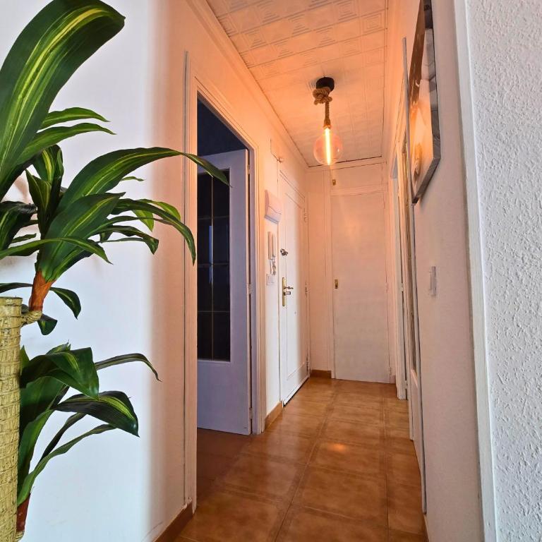 La Palma Chill House - Apartamento con terraza - 10