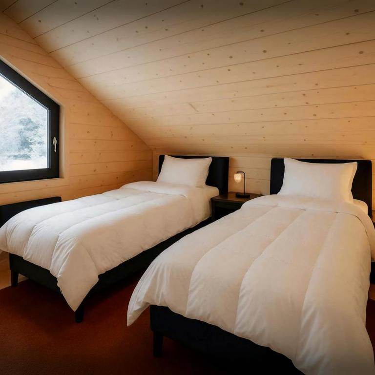 Chalet L'Ursus - OVO Network - Chalet - 17