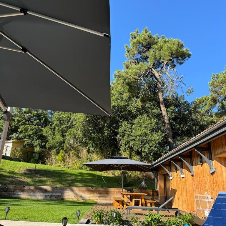 Villa de la Crête - Pyla - Villa - 13