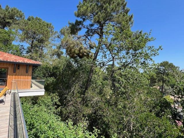 Villa de la Crête - Pyla - Villa - 46