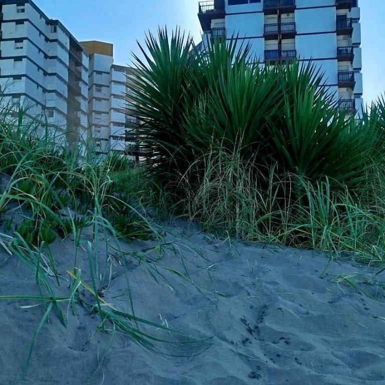 HOLAMardeAjo - Apartamento con vistas al mar - 13