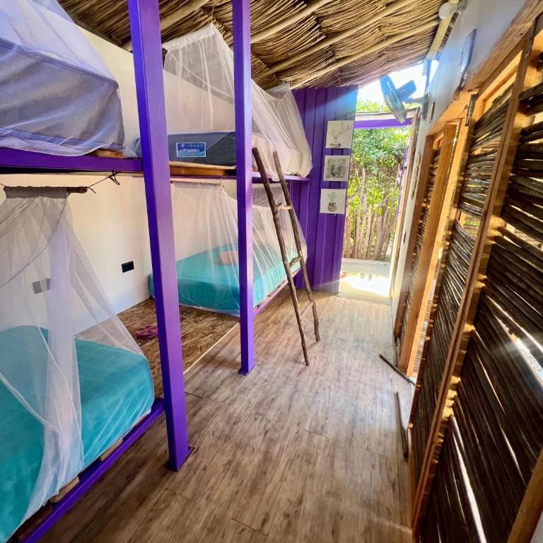 Riders Shared Room en Mojarra Beach - Bunk Bed in Mixed Dormitory Room - 1