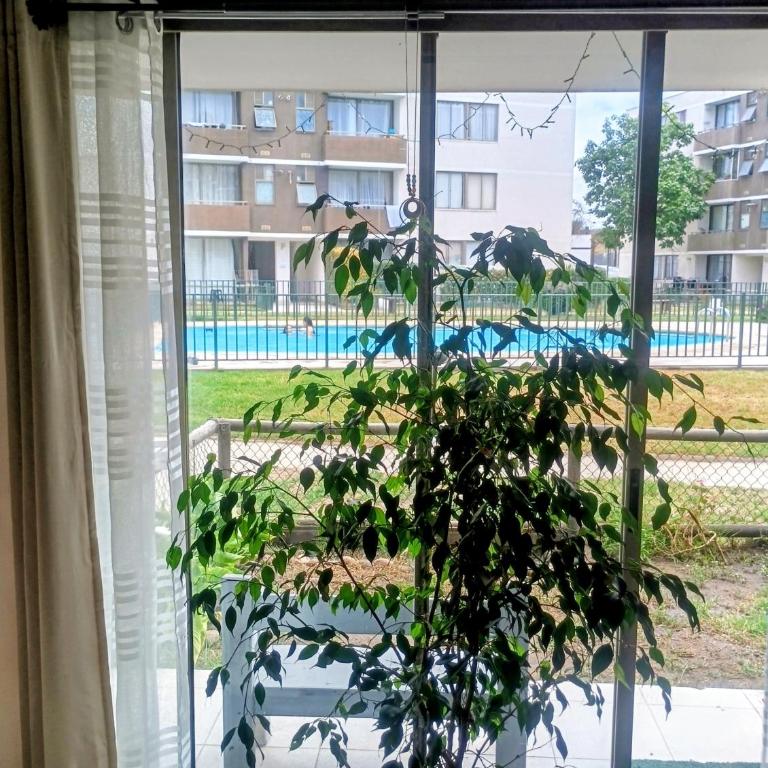 Departamento diario - One-Bedroom Apartment - 2