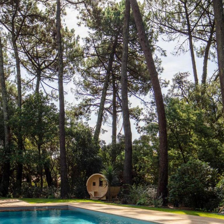 Villa de luxe avec piscine chauffée, jacuzzi, sauna au cœur de la forêt des Landes - Villa mit 3 Schlafzimmern - 24
