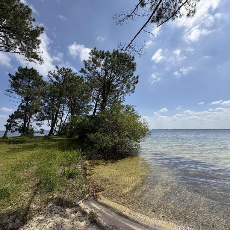Villa rénovée près du lac, Biscarrosse - FR-1-831-2 - Casa Vacanze - 17