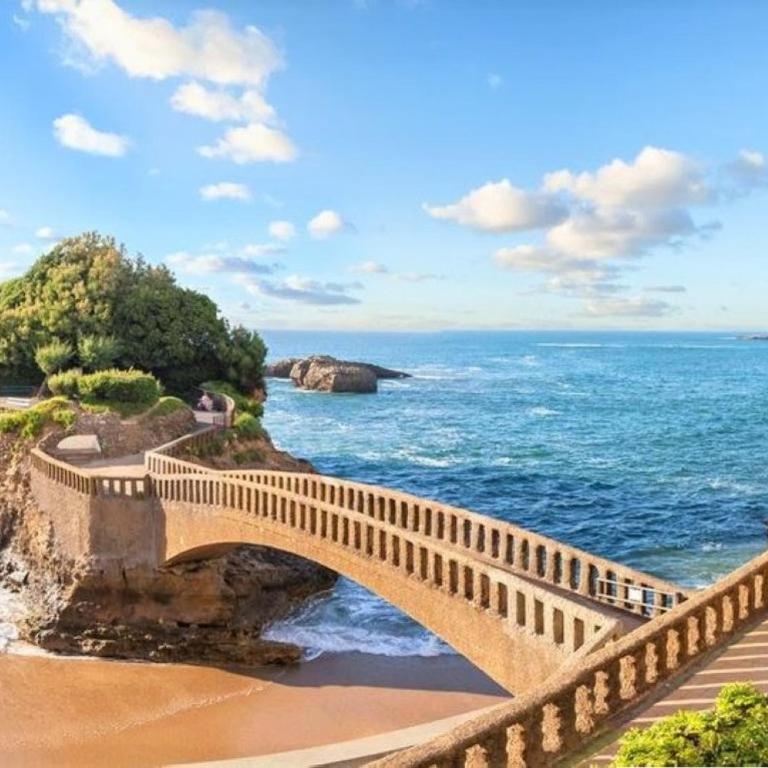 Appartement Rénové Quartier des Halles Biarritz - FR-1-3-604 - Appartamento - 16