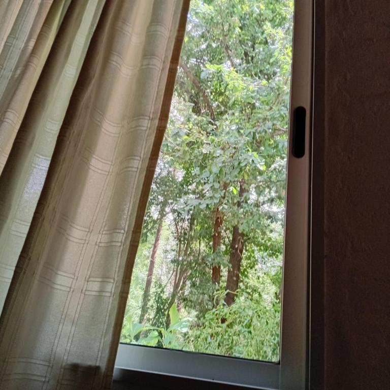Cheroga - One-Bedroom House - 18