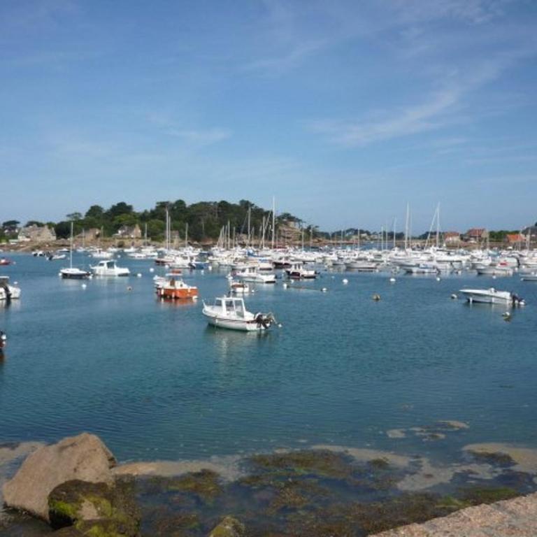 Maison calme avec jardin et Wifi, proche plages Côte de Granit Rose - FR-1-542-64 - Ferienhaus - 20
