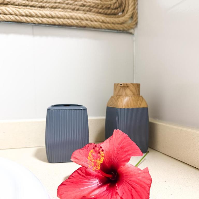 Rony by Best Holidays Fuerteventura - Apartamento de 1 dormitorio - 30