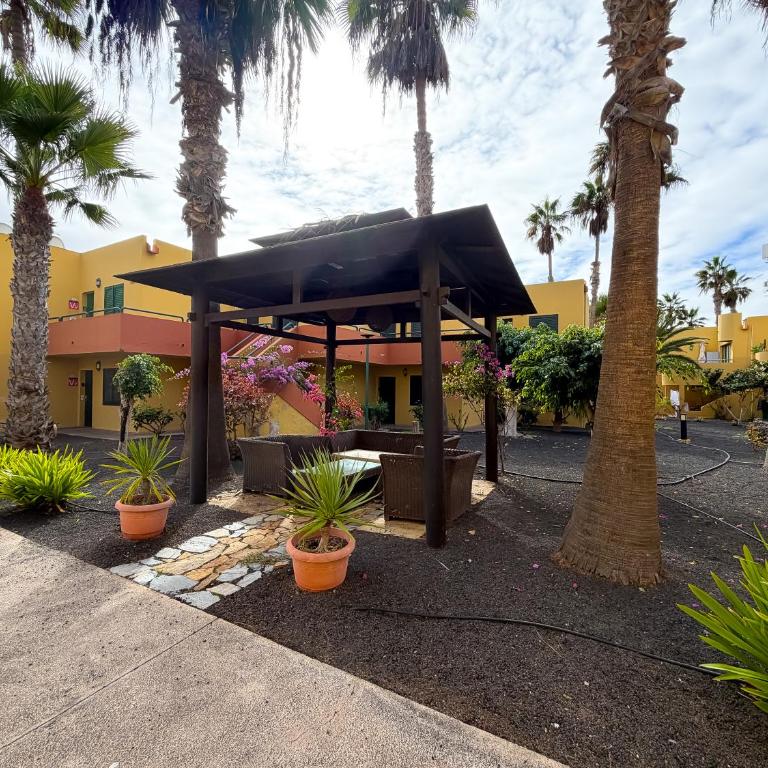 Rony by Best Holidays Fuerteventura - Apartamento de 1 dormitorio - 36