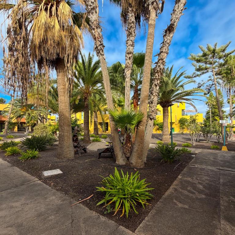 Rony by Best Holidays Fuerteventura - Apartamento de 1 dormitorio - 38