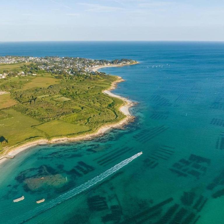 Studio à Carnac - Terrasse, Garage, Proche Plage et Thalasso - FR-1-477-185 - Studio - 13