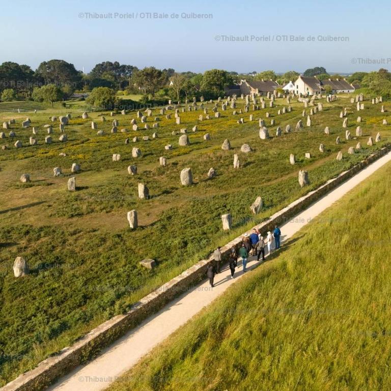 Carnac: Charmant 2 Pièces avec Parking près des Plages - FR-1-477-214 - Apartment - 15