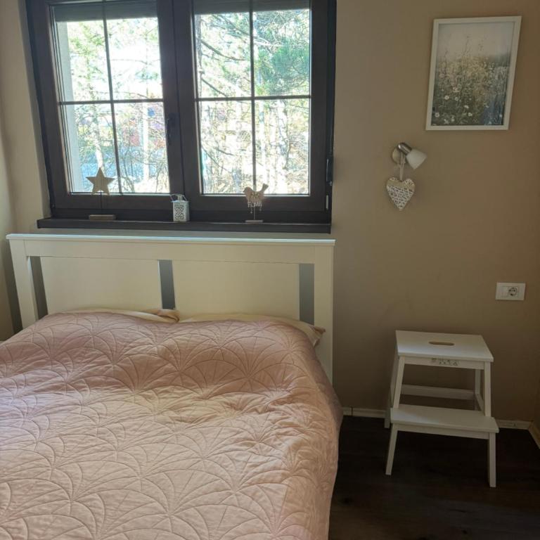 Vila Lucic Zlatibor - Apartment - 4