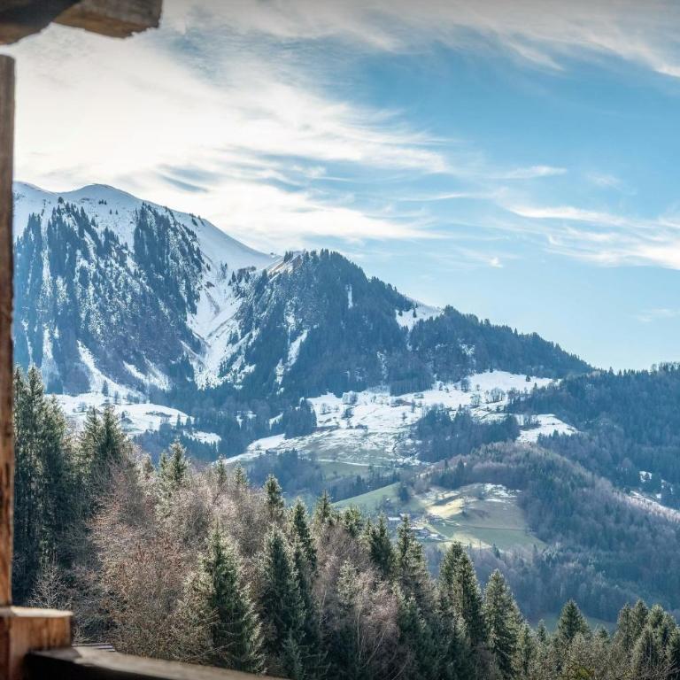 Chalet Le Bouchat - OVO Network - Chalet - 33