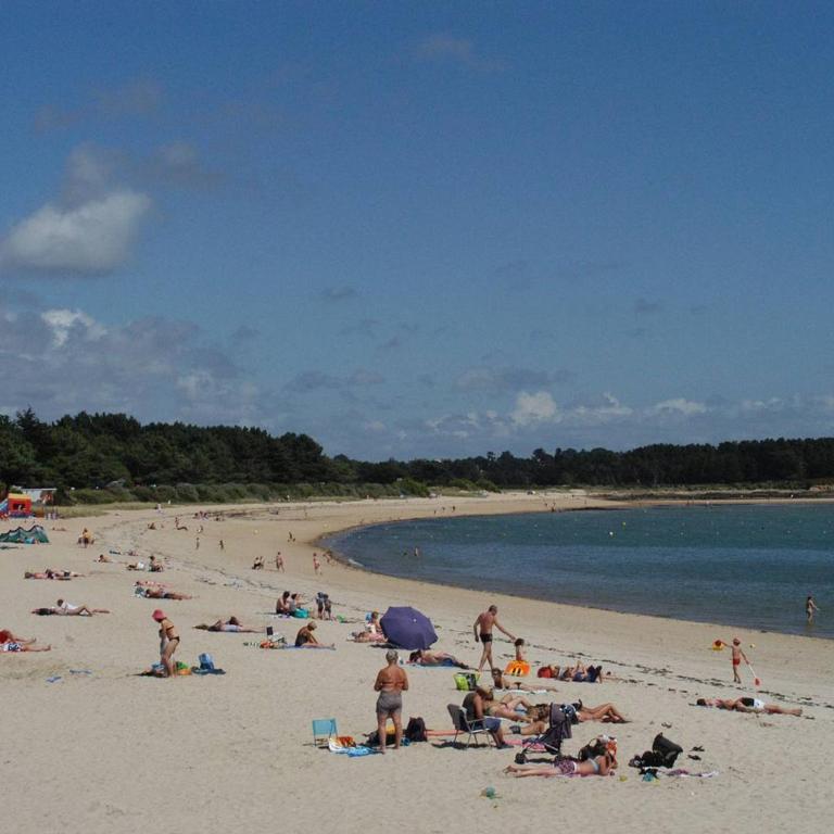 Carnac : Appartement 3 Pièces, 4 Pers., Balcon Sud, Parking - FR-1-377-78 - Appartement - 13