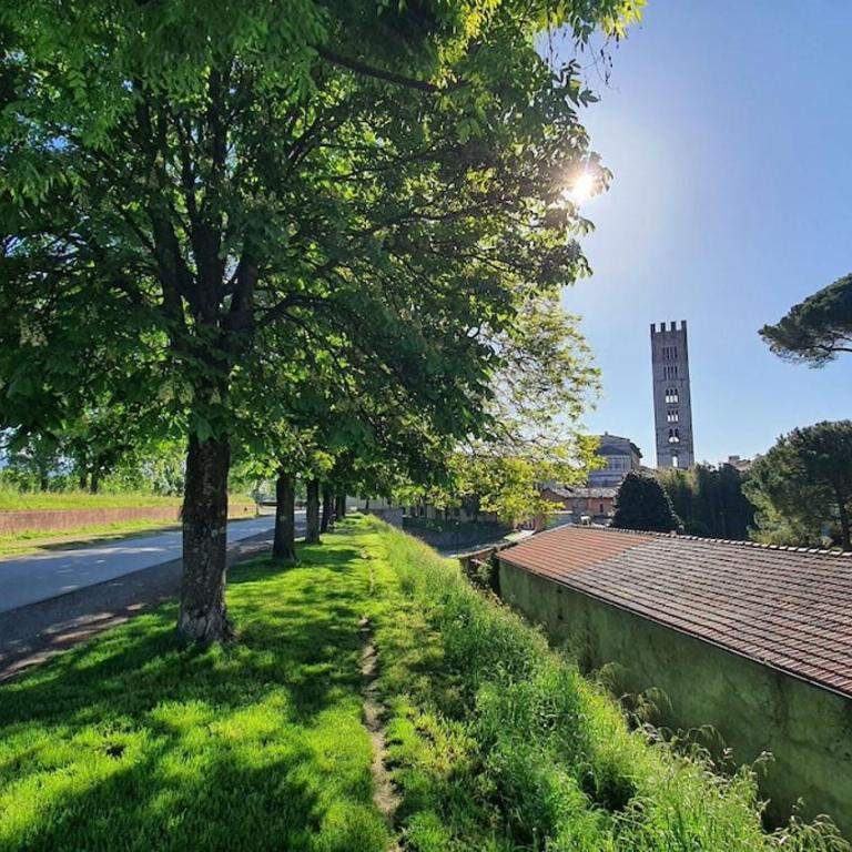 Al Civico 80 - Appartamento con 2 Camere da Letto - 29