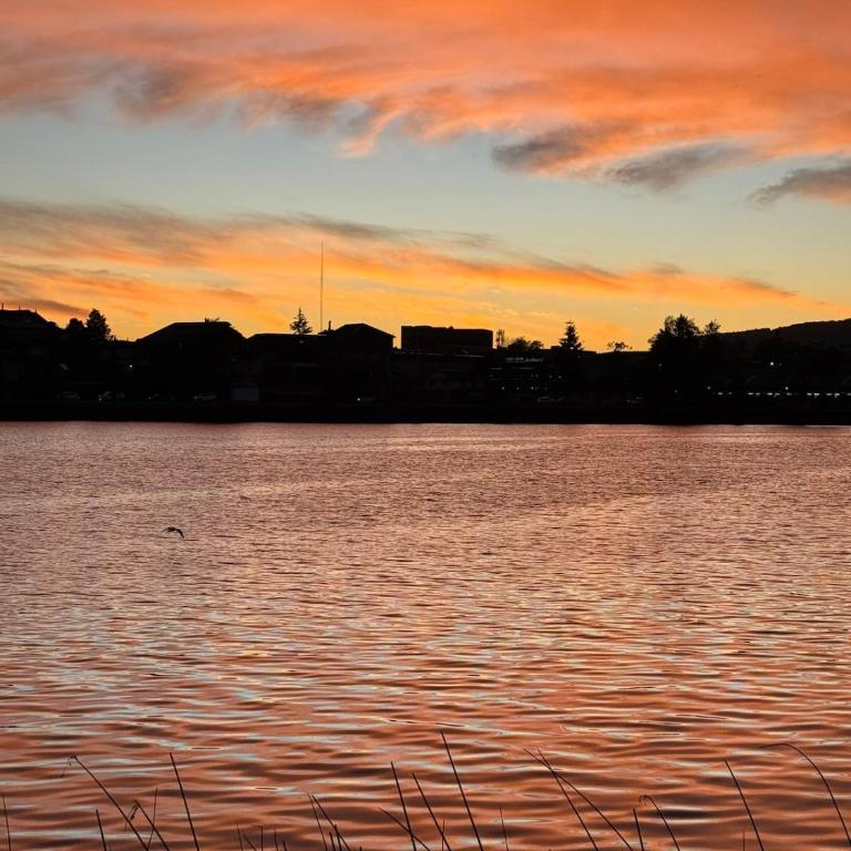 Casa en arriendo 3D 3B en Valdivia - Three-Bedroom House - 31