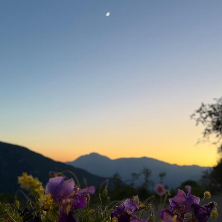 Maso K Family & Friends Alpine Boutique Resort - Casa de 7 dormitorios - 47