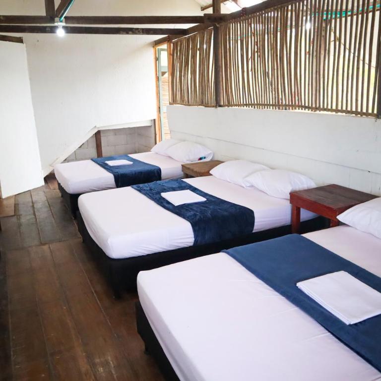 PALOMAR Ecohouse - Habitación Familiar con vistas al mar - 5