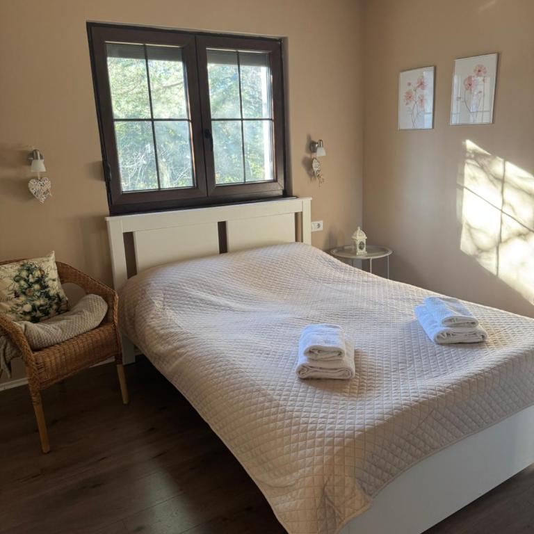 Vila Lucic Zlatibor - Apartment - 18