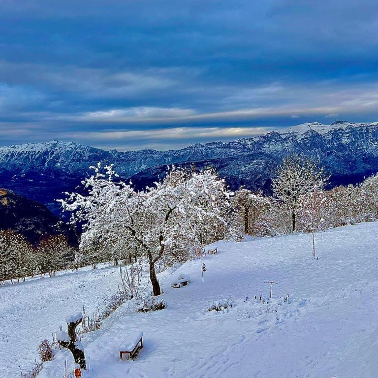 Maso K Family & Friends Alpine Boutique Resort - Casa de 7 dormitorios - 50