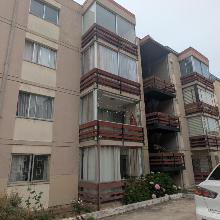 Departamento central, Quinta Vergara - Two-Bedroom Apartment - 15