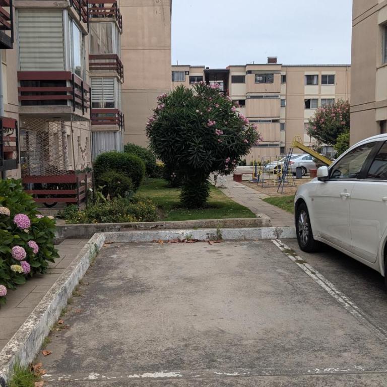 Departamento central, Quinta Vergara - Two-Bedroom Apartment - 20