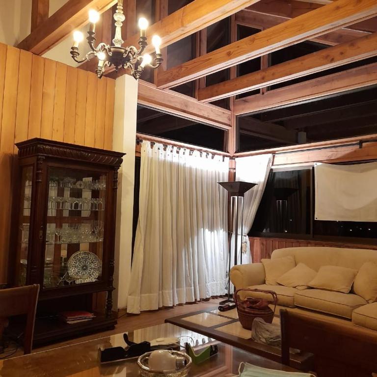 Penthouse Pucón - Apartment - 8
