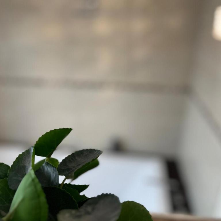 Vintage studio apartment - Ferienwohnung - Apartment mit 1 Schlafzimmer - 12